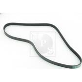 Cinghia Poly-V NPS - M111A73