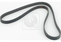 Cinghia Poly-V