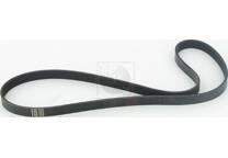 Cinghia Poly-V
