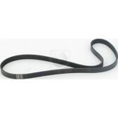 Cinghia Poly-V NPS - T111A29