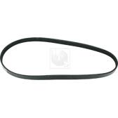 Cinghia Poly-V NPS - T111A45