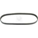 Cinghia Poly-V NPS - T111A79