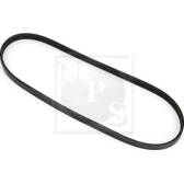 Correa trapecial poli V NPS - M111A06