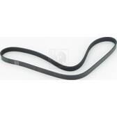 Correa trapecial poli V NPS - T111A43