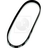 Courroie d'accessoire NPS - D111O04