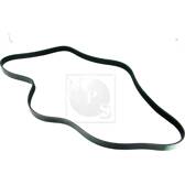 Courroie d'accessoire NPS - M111A76