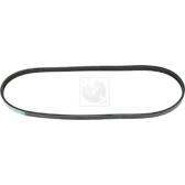 Courroie d'accessoire NPS - M111I04