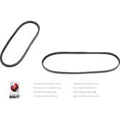 Courroie d'accessoire NPS - N111N70