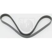 Courroie d'accessoire NPS - N111N71