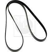 Courroie d'accessoire NPS - S111I31
