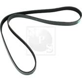 Courroie d'accessoire NPS - S111I36