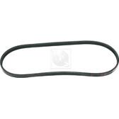 Courroie d'accessoire NPS - T111A22
