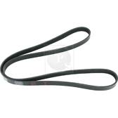 Courroie d'accessoire NPS - T111A54