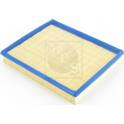 Filtro aria NPS - D132O01