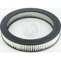 Filtro aria NPS - T132A10