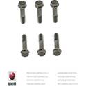 Flywheel Bolt NPS - N206N200A