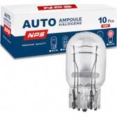 Glühlampe (x10) NPS - U671L19
