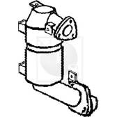 Katalysator NPS - T431A07