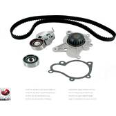 Kit distribution avec pompe à eau NPS - V118G02
