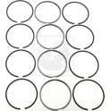 Kit fasce elastiche NPS - I903U06B