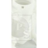 Kraftstofffilter NPS - T133A23