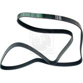Poly V-riem NPS - D111O03