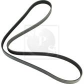 Poly V-riem NPS - H111A49