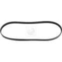 Poly V-riem NPS - N111N36