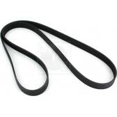 Poly V-riem NPS - N111N72
