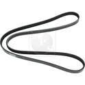 Poly V-riem NPS - S111I23