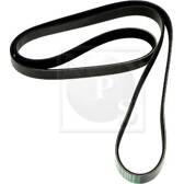 Poly V-riem NPS - S111I28