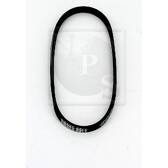 Poly V-riem NPS - S111I32
