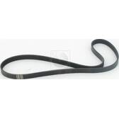 Poly V-riem NPS - T111A29