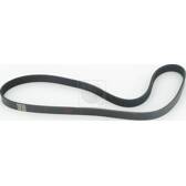 Poly V-riem NPS - T111A63