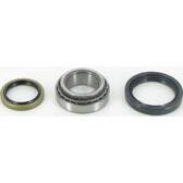 Roulement de roue NPS - D470U13