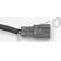 nop