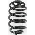 Suspension Spring NPS - R491T02
