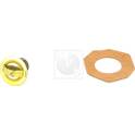 Thermostat d'eau NPS - T153A11
