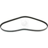 V-Ribbed Belts NPS - M111A13
