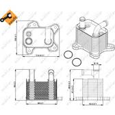 Radiateur d'huile NRF - 31342