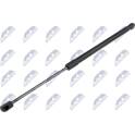 Boot struts NTY - AE-ME-060