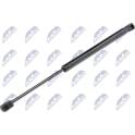 Boot struts NTY - AE-PE-002