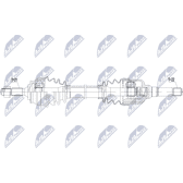 Cardan NTY - NPW-CT-095
