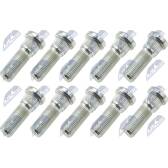 Cavilhas da roda (x10) NTY - KSP-TY-001
