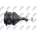 Fuseekogel NTY - ZST-CH-003