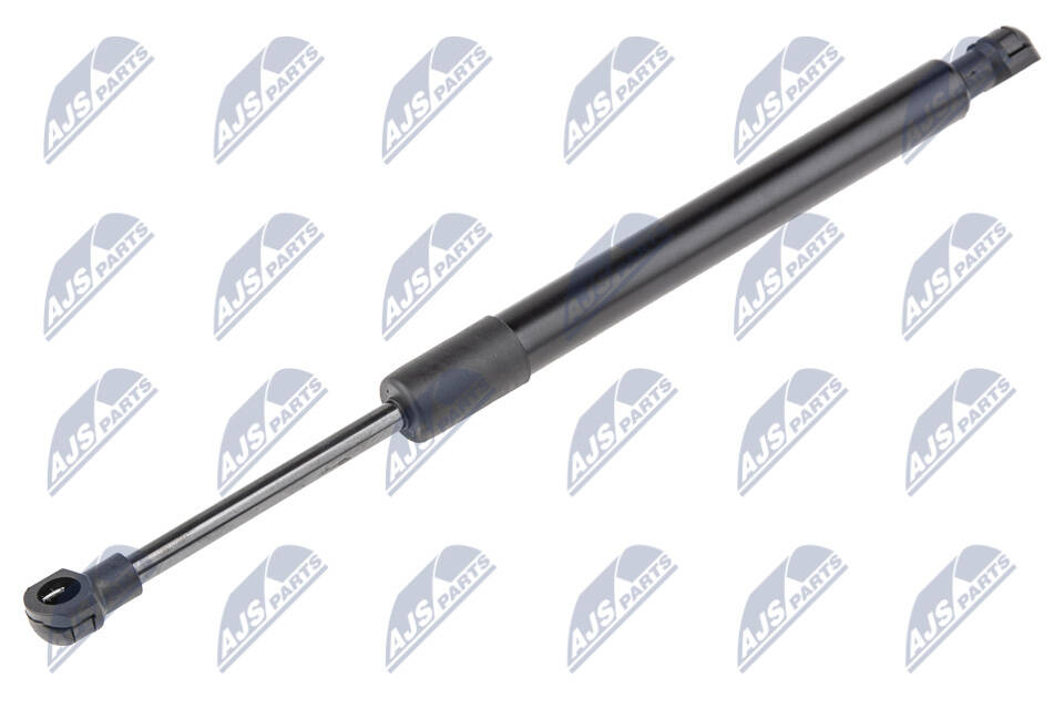 Bonnet gas struts