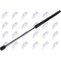 Gas Spring, boot/cargo area NTY - AE-FR-089