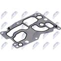 Gasket, oil cooler NTY - CCL-BM-082