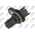Krukassensor NTY - ECP-BM-001