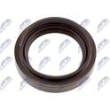 Paraolio, Albero primario NTY - NUP-TY-015